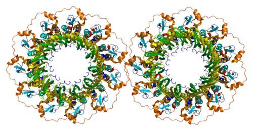 Acanthamoebiasis.