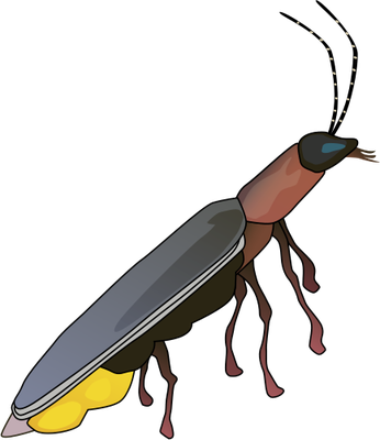 Lightning bug tattoos clipart images gallery for free.