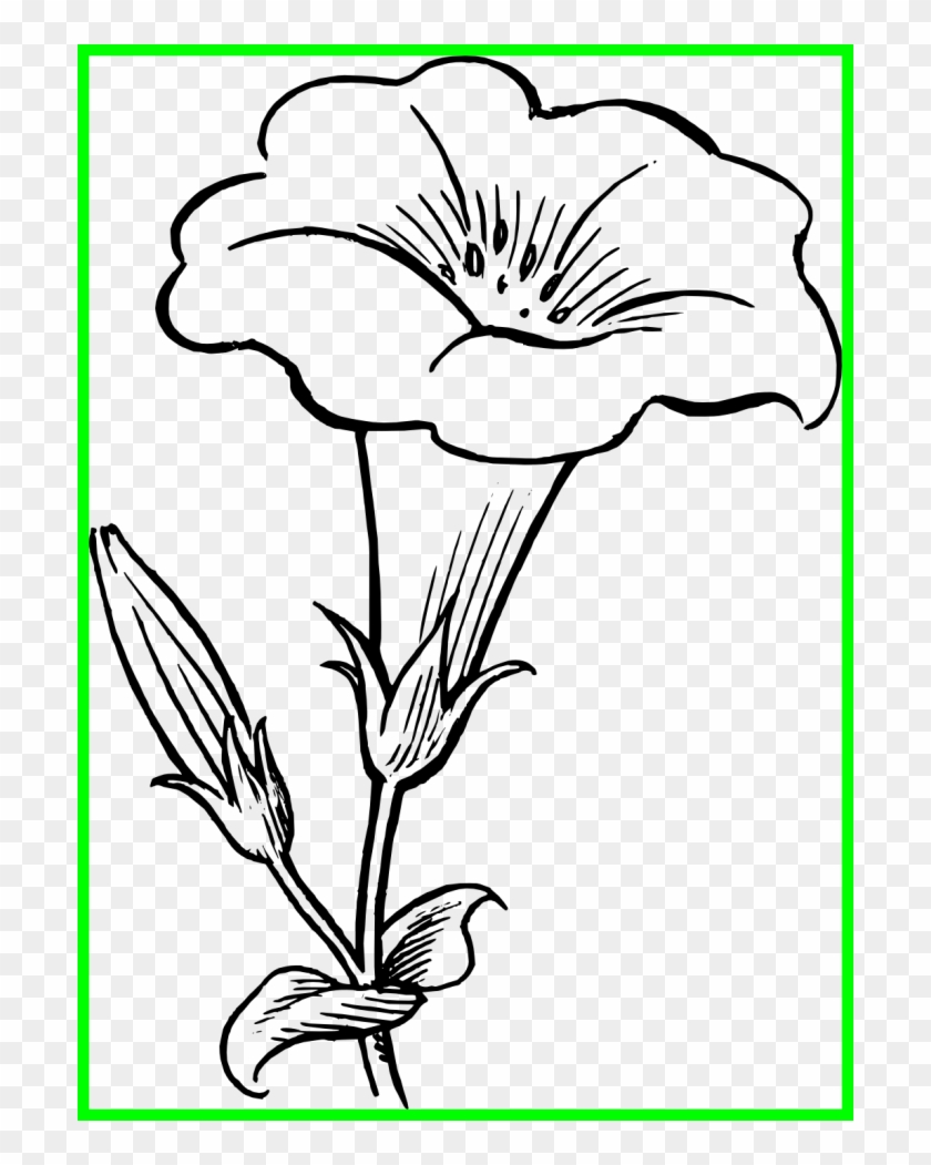 Lily Pad Flower Png Black And White.