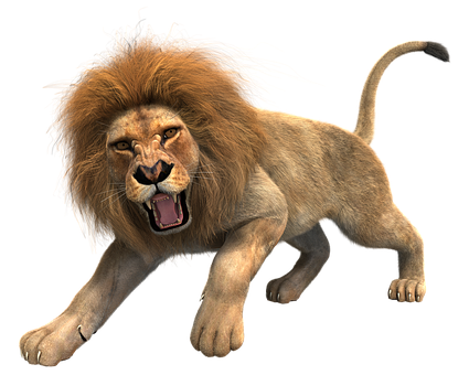 Lion HD PNG Transparent Lion HD.PNG Images..