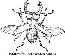 Lucanidae Clip Art Vector Graphics. 24 lucanidae EPS clipart.