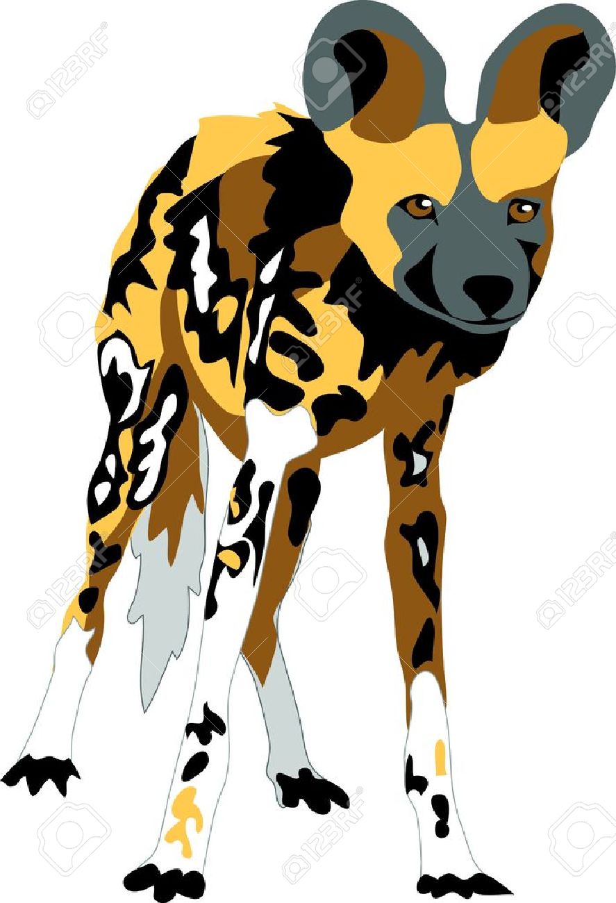 African Wild Dog.