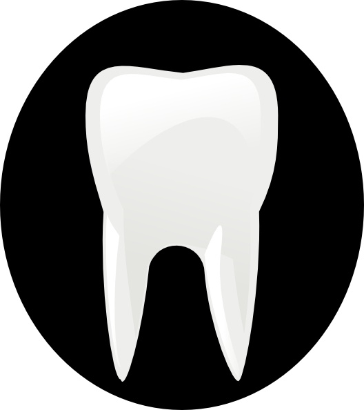 Tooth Molar clip art Free vector in Open office drawing svg ( .svg.