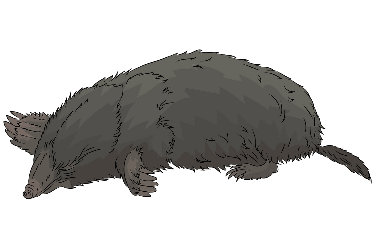 Mole clipart. Free download..