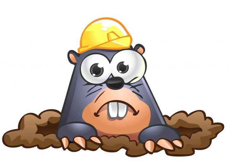 Mole Clipart at GetDrawings.com.