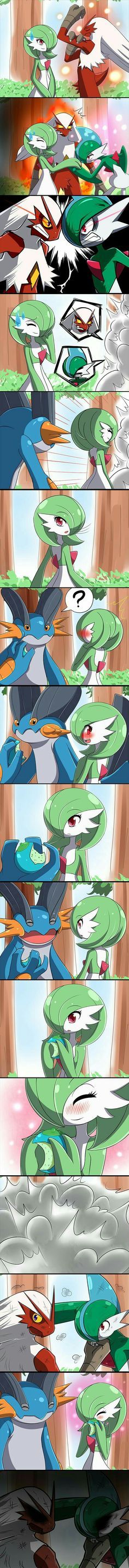 Gardevoir, Gallade, Blaziken, Swampert, funny, comic, fighting.