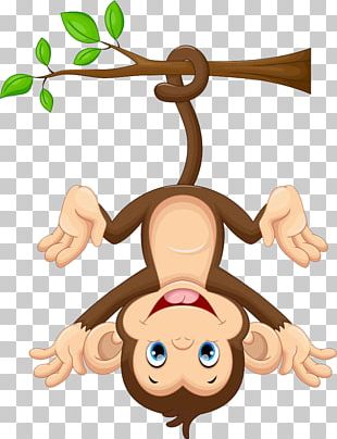 Monkey PNG Images, Monkey Clipart Free Download.