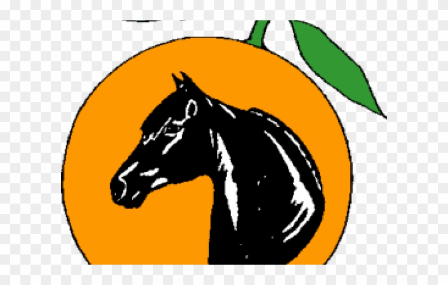 Mare Clipart Morgan Horse.