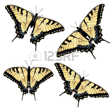 137 Machaon Cliparts, Stock Vector And Royalty Free Machaon.