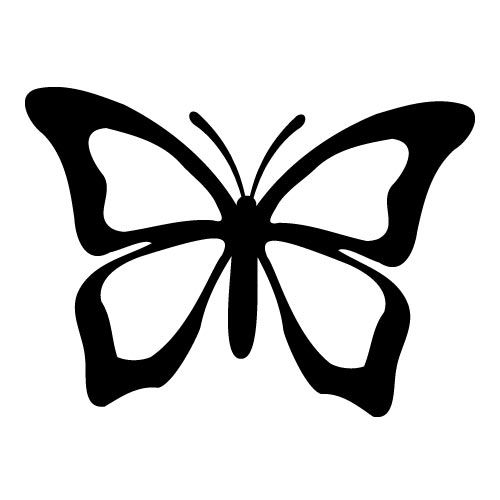 1000+ ideas about Papillon Butterfly on Pinterest.