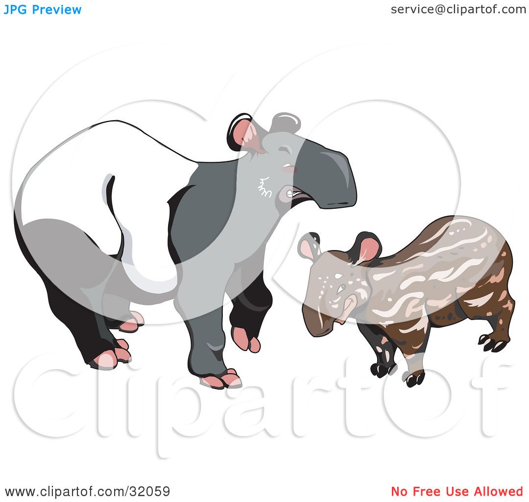 Clipart Illustration of a Young Brown Malayan Tapir (Tapirus.