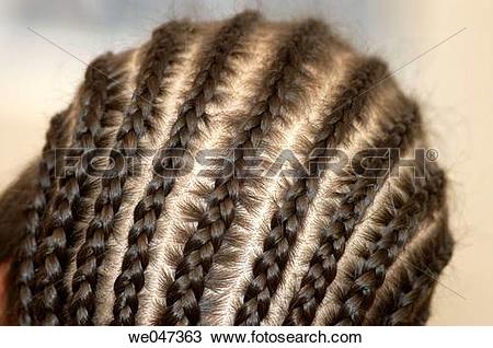 Stock Photo of Plaits, tress of hair , braids.