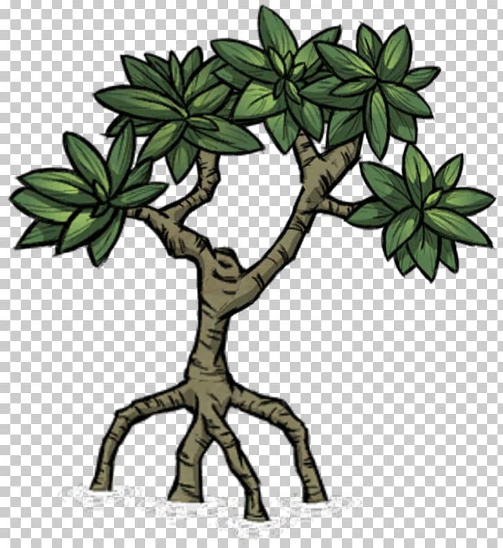 Mangrove Tree Don't Starve Plant Biome PNG, Clipart, Biome.