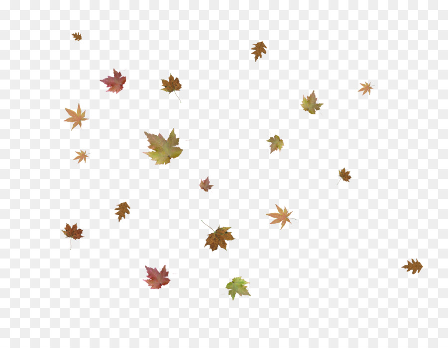 Autumn Sky png download.