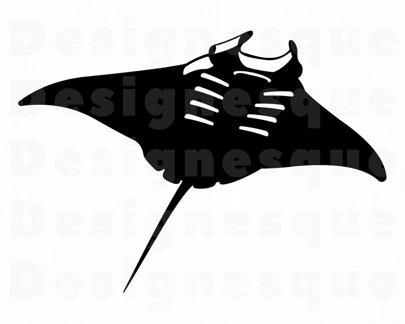 Manta Ray SVG, Manta Ray Clipart, Manta Ray Files for Cricut, Manta Ray Cut  Files For Silhouette, Manta Ray Dxf, Manta Ray Png, Eps, Vector.