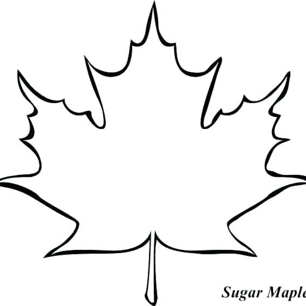 Leaf Outline Drawing.