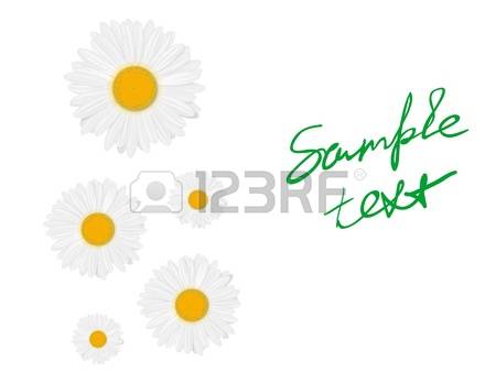 1,029 Marguerite Stock Vector Illustration And Royalty Free.