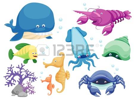 15,591 Marine Mammals Stock Vector Illustration And Royalty Free.