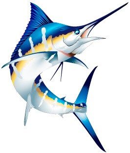 Marlin clipart.