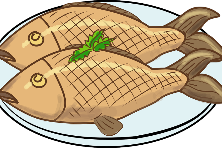 Fish Meat Clipart.