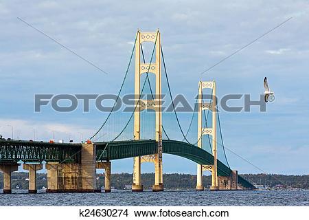 Stock Photo of Mighty Mac and Seagull k24630274.