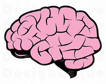 Brain clipart.