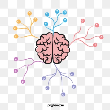 Brain Png, Vector, PSD, and Clipart With Transparent.