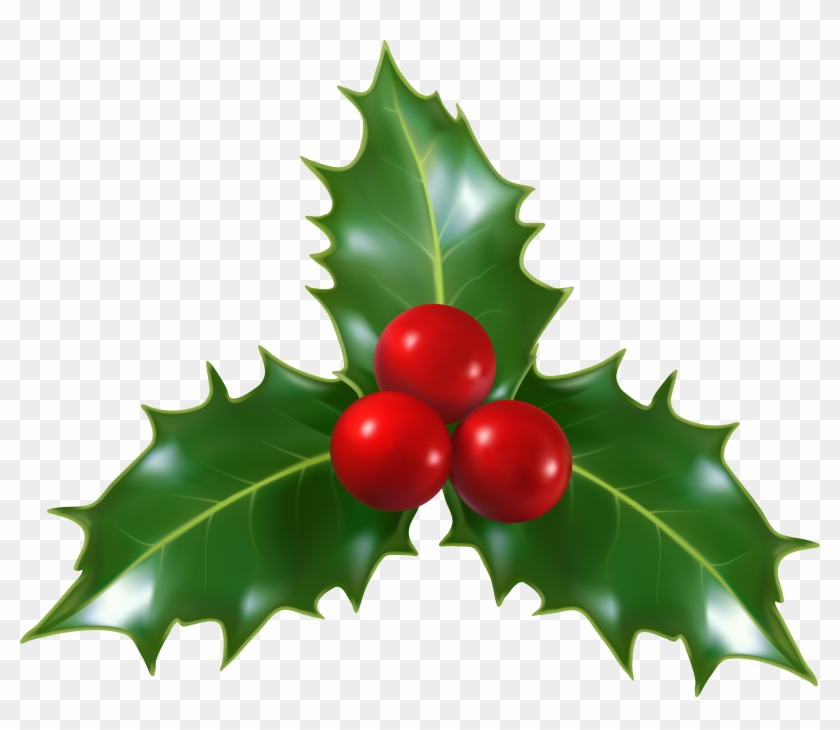 Download Free png Mistletoe Png Free Transparent PNG Clipart.