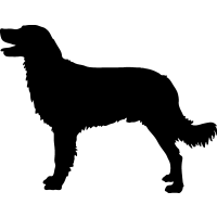 Sport Dogs Dog Breeds Vector Graphics DXF Clip Art for CNC.