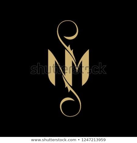 Elegant Letter NM Logo Template.