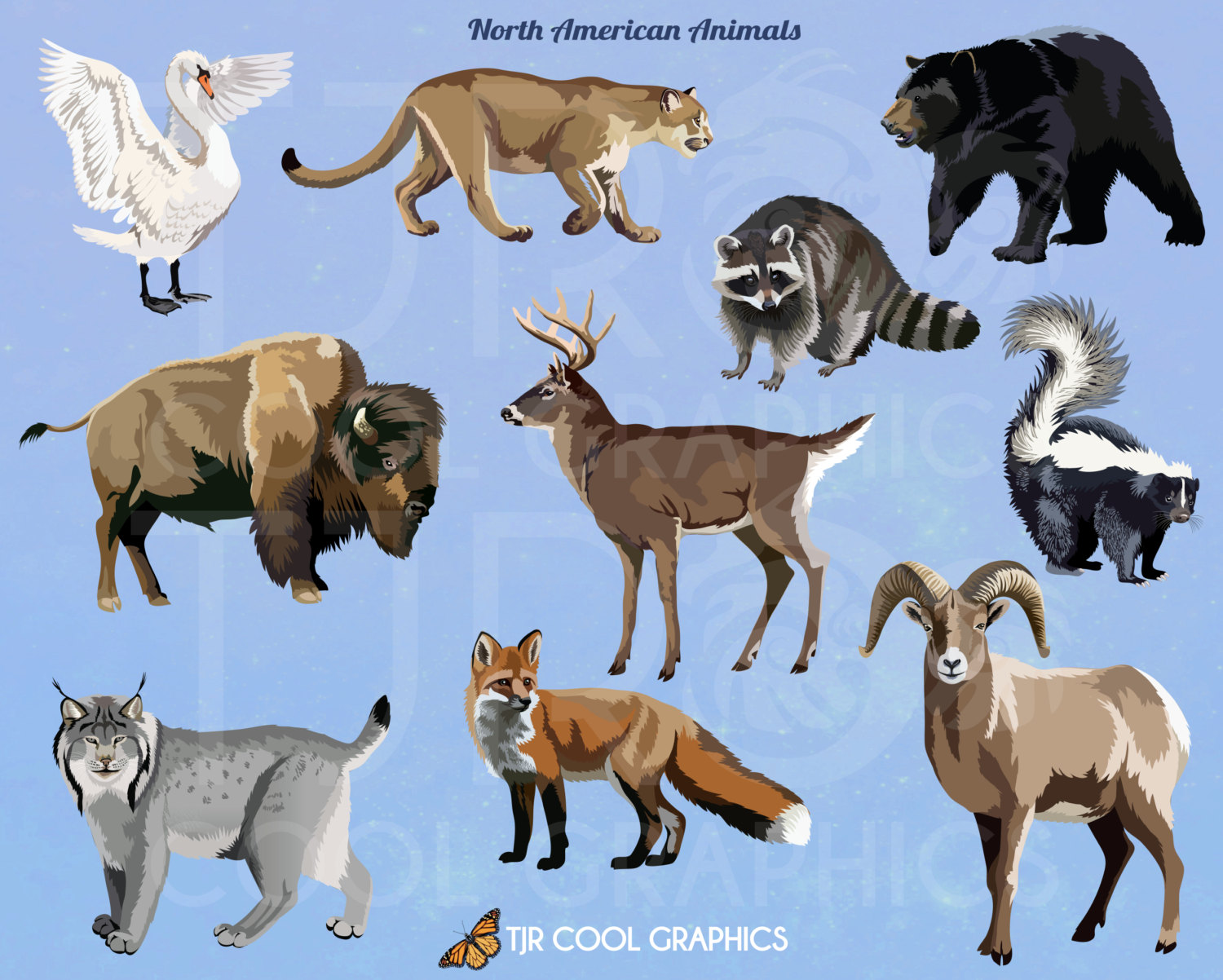 North American Animals Digital Realistic Clip Art PNG.