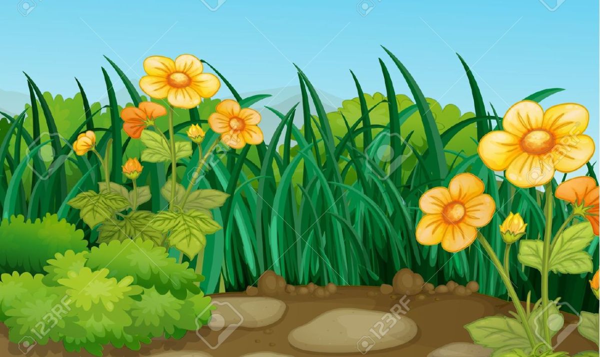 Beautiful Scenery Hd Clipart Free Download Clipartfox.