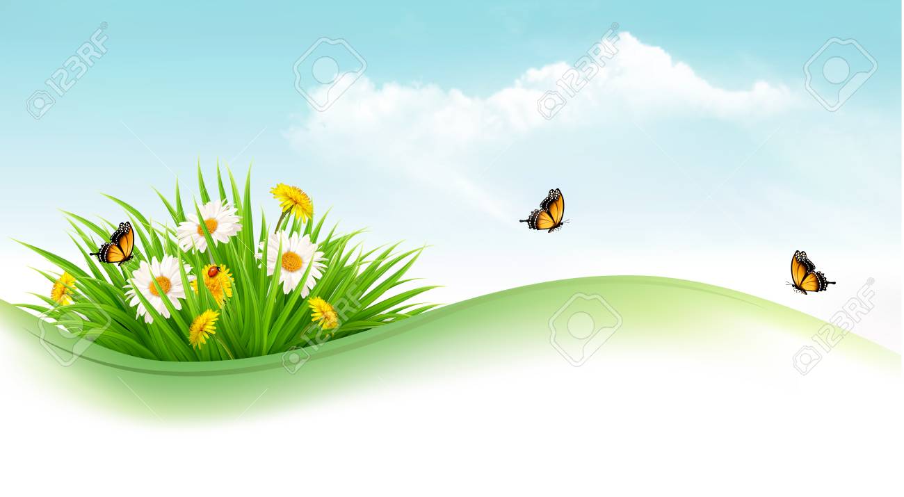 Nature background with grass and flowers and butterflies. Vector...