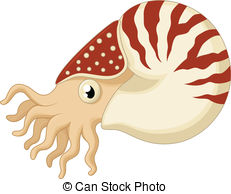 Nautilus Clipart and Stock Illustrations. 2,300 Nautilus vector.