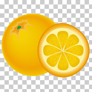 48 Naranja PNG cliparts for free download.