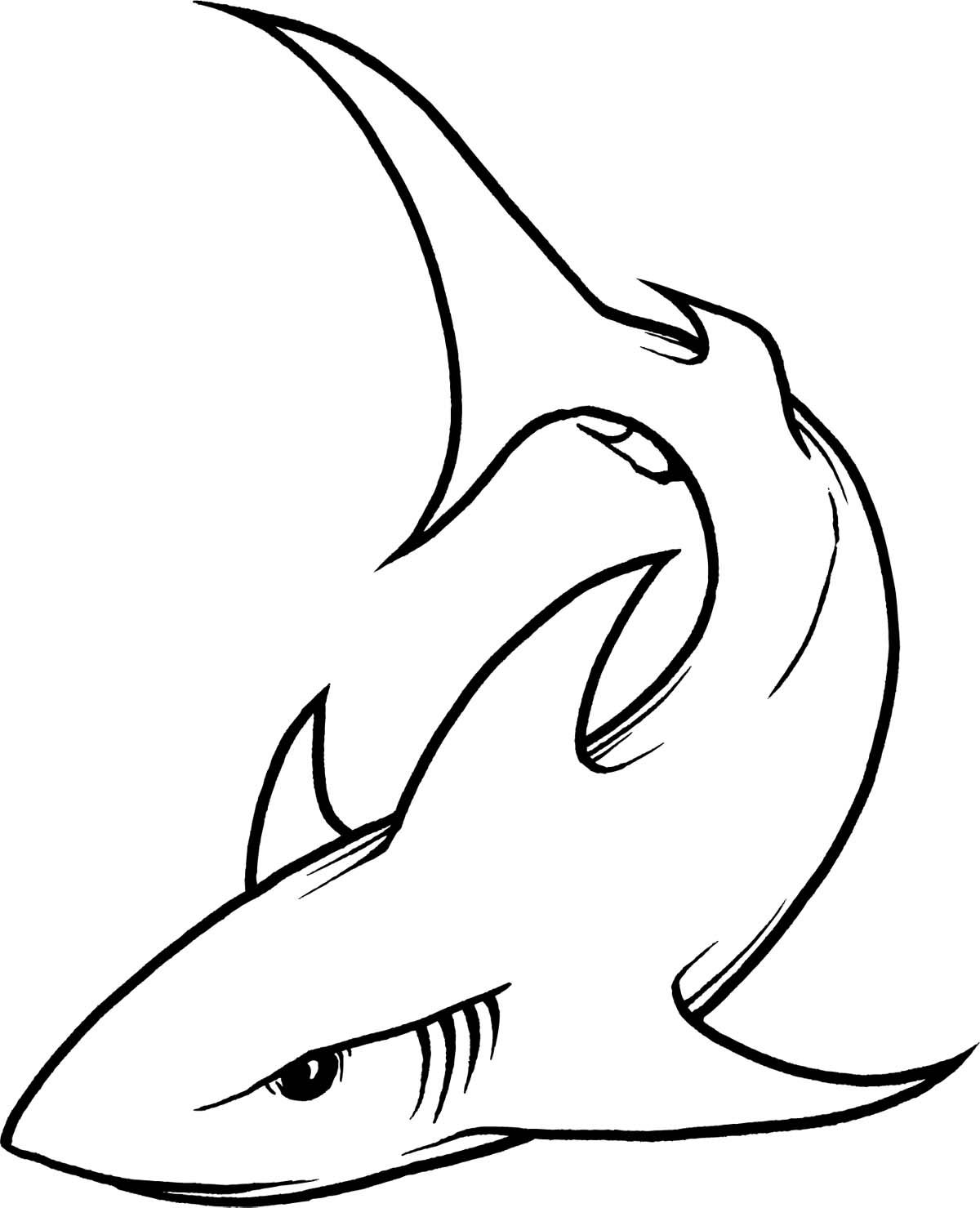 6126 Shark free clipart.