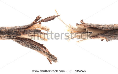 Broken Tree Stock Images, Royalty.