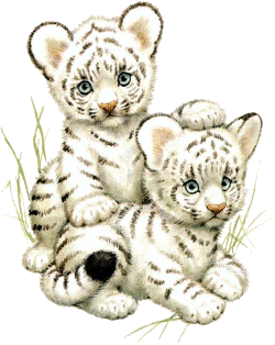 Snow tiger clipart.