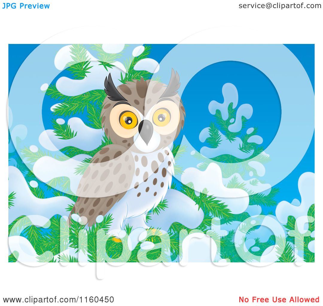 Cartoon of a Spotted Owl Perched in a Snow Flocked Tree.