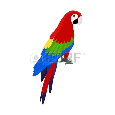 458 Amazon Parrot Stock Vector Illustration And Royalty Free.