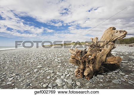 Stock Photograph of New Zealand, South Island, West Coast.