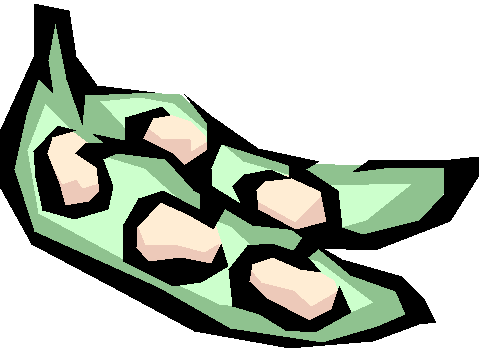 Soybean 20clipart.