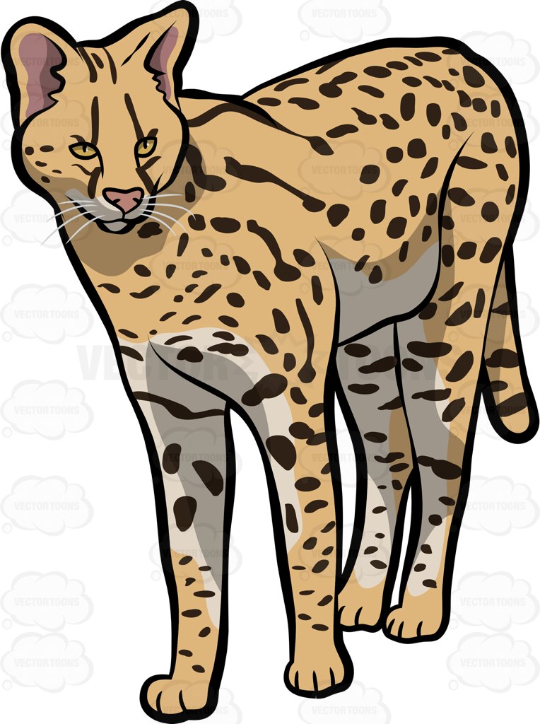 A Savannah Cat Cartoon Clipart.