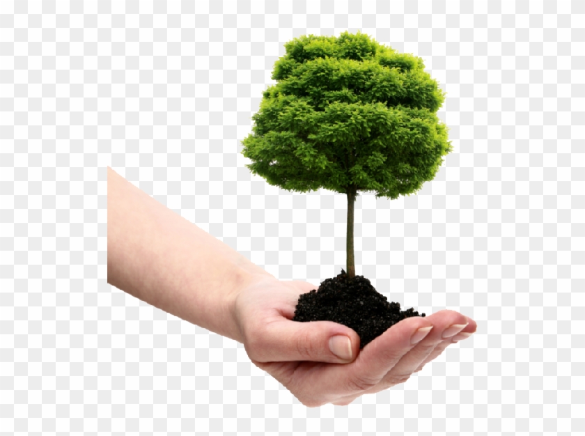 Save Tree Png File.