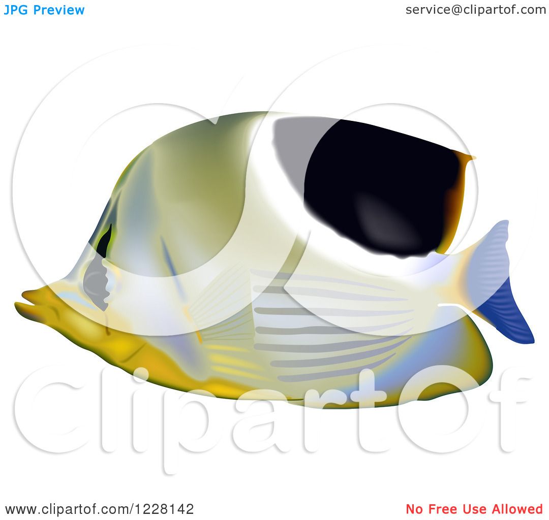 Clipart of a Saddleback Butterflyfish.