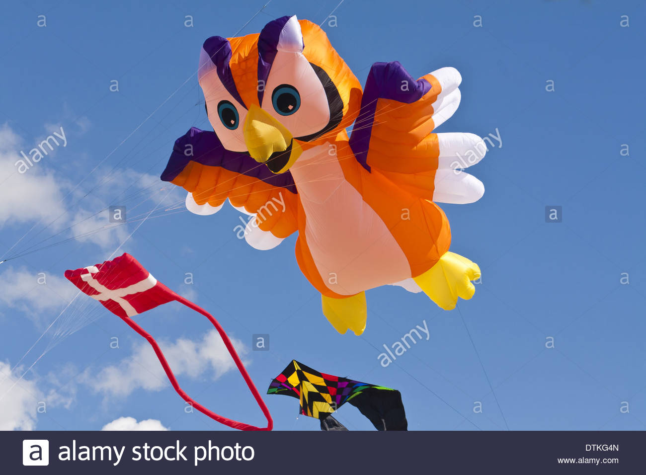 Kite Festival On The Beach Of St. Peter.