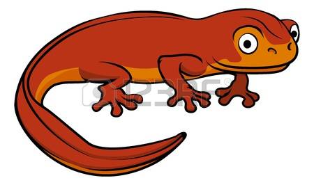 1,951 Salamander Stock Vector Illustration And Royalty Free.