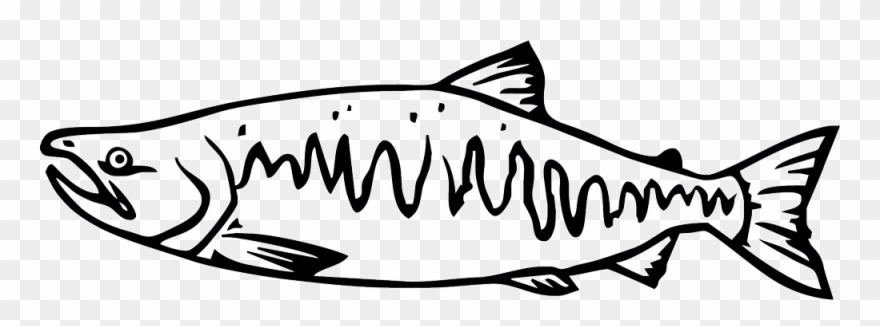 Salmon Clipart Tiny Fish.