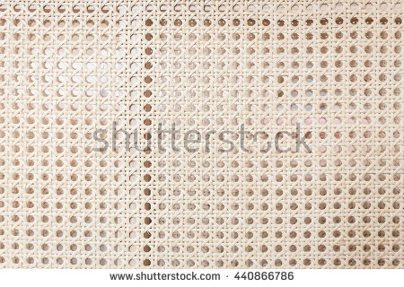 Bone Spongy Structure Seamless Pattern Vector Stock.