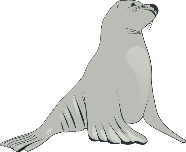 Sea Lion clip art Free vector in Open office drawing svg ( .svg.